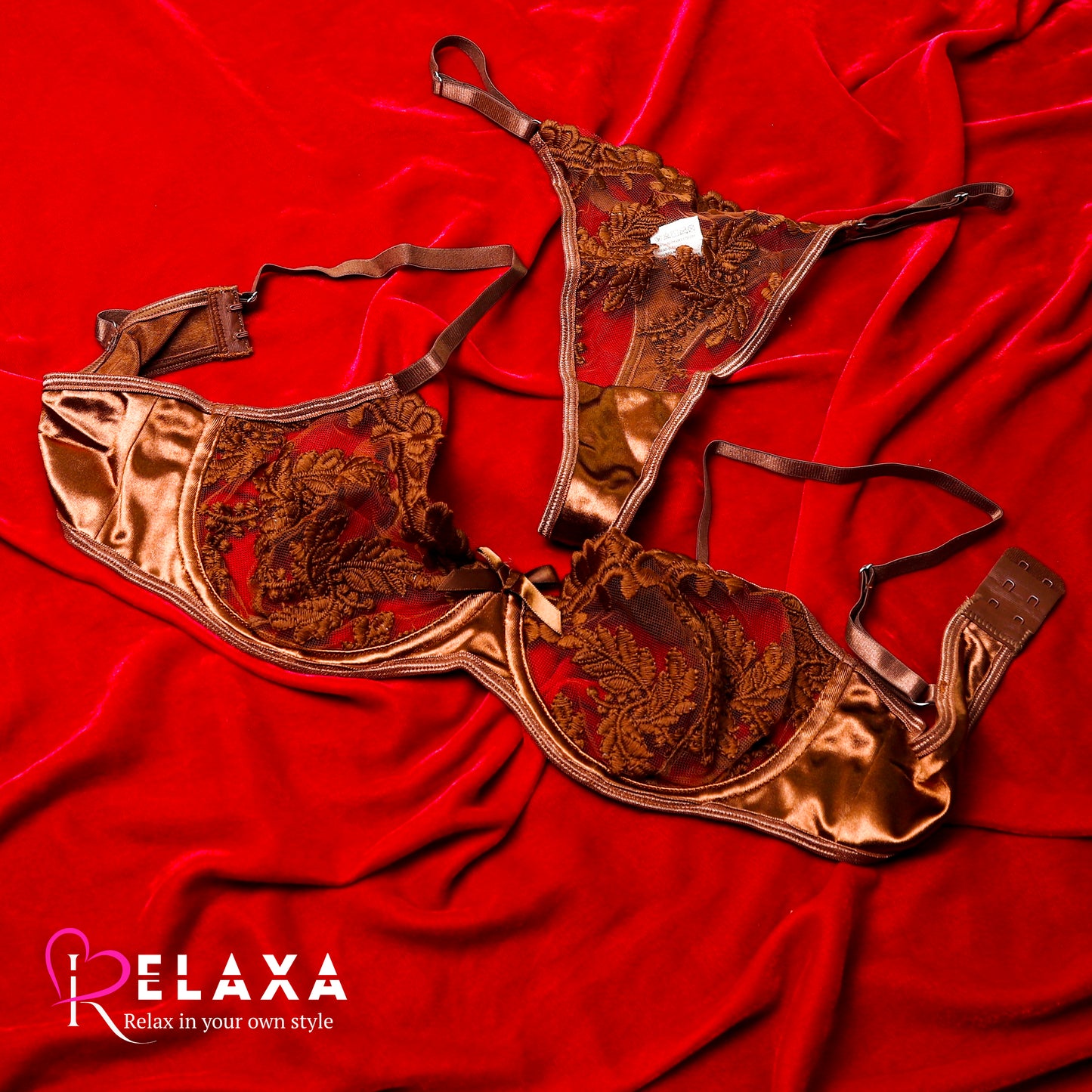 Net Bra Set With Pure Silk(Imported)